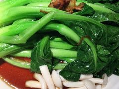 白灼菌菇菜心-新白鹿餐厅(虹桥南丰城店)
