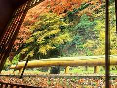 -九田家黑牛烤肉料理(太阳宫广场店)