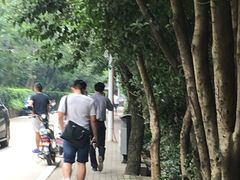 -武汉大学-樱园