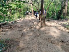 -大蜀山国家森林公园