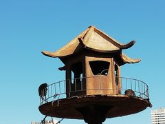 猴山-昆明动物园