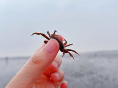 -春花秋色城市公园