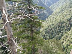 -凤凰山国家森林公园