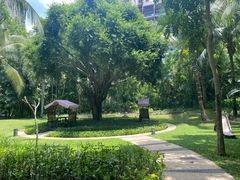 -三亚湾海居铂尔曼度假酒店