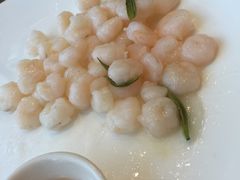 -张生记(双菱店)