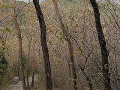 -浮来山风景区