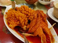 松鼠桂鱼-玉华台饭庄(裕中西里小区店)