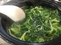 现烫鸡毛菜-小徽舟臭鳜鱼(雅清街店)