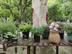 -上海共青森林公园