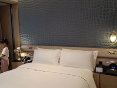 -深圳国际会展中心希尔顿酒店(前海华发冰雪世界店)