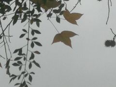 -韶关经律论国际酒店温泉