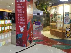 -龟与熊猫宠物公园(南坪店)