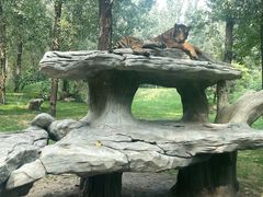 -北京野生动物园