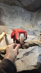 -Zoolung Zoolung动物主题公园(海信广场店)