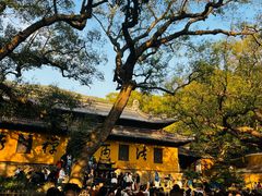 -普陀山风景名胜区-法雨禅寺