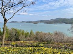 -天目湖涵田半山温泉