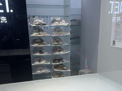 -福奈特洗衣洗鞋(莘谭路店)