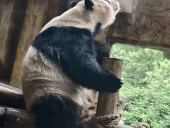 -常州淹城野生动物世界
