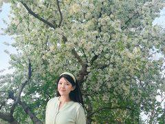 -石家庄市植物园