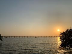 -宝安西湾红树林湿地公园