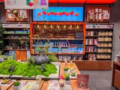 -深圳湾万象城(南山店)