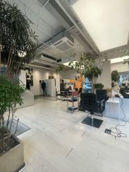 -Hair  Gallery