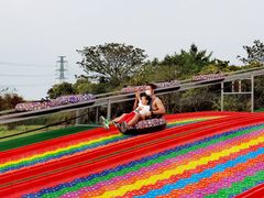 -长洲岛都市农业公园