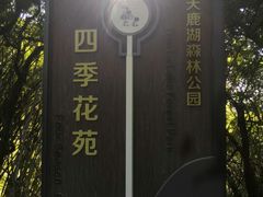 -天鹿湖森林公园