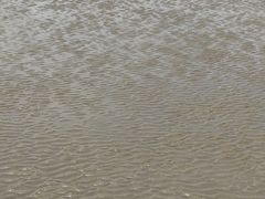 -奉贤海滩