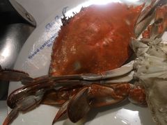 -星伦多 自助料理(圆融店)