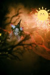 -梓摄影古装写真工作室(富力广场店)