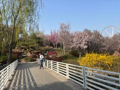 -石家庄市植物园