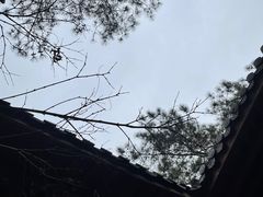 -唐风温泉