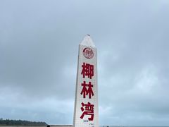 -东郊椰林