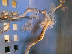 -春熙台韩国料理·章鱼肥牛(西丽店)