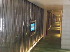 -深圳东部华侨城瀑布酒店