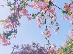 -莫愁湖公园