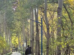 -森林公园(尖草坪区)