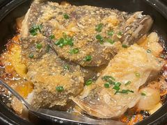 -人间酒暖·Go blanc·烧鸟·深夜食堂(陆家嘴店)