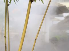 -伴山茶苑·围炉煮茶