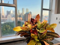 -Hair Co.一间沙龙