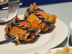 -裕龙汤泉