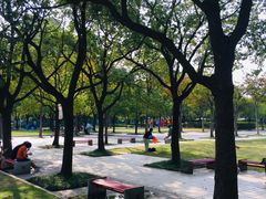 -新江湾城公园