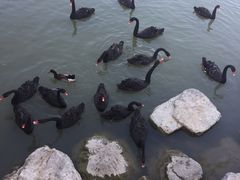 -天津东丽湖风景区