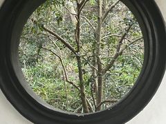 -虎跑公园