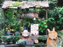 -上海鲜花港