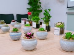 -双季花艺园艺市场(浦东店)