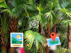 -深圳国际园林花卉博览园