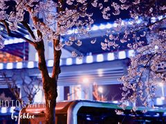 -上海南浦大桥长途旅游客运站