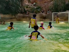 -杭州开元森泊度假乐园